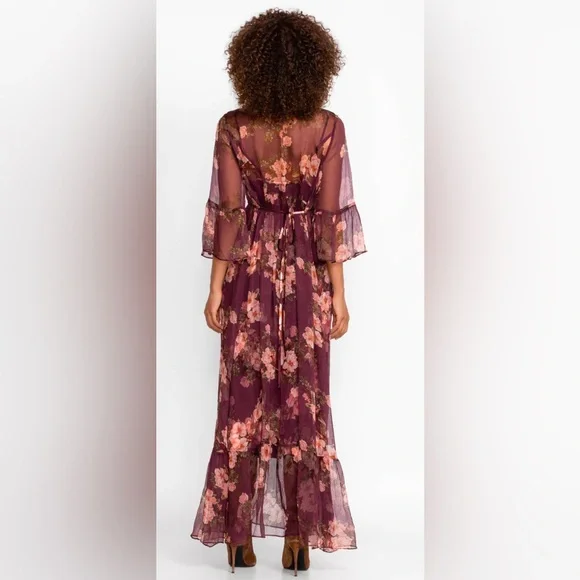 JOHNNY WAS WINONNA SILK MAXI DRESS - Picture 3 of 8